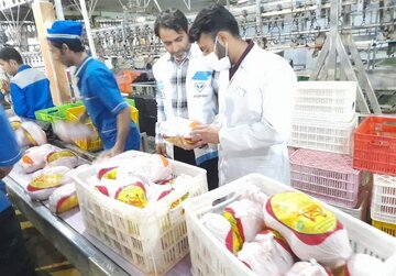 فروش مرغ بالاتر از 63 هزار تومان تخلف است