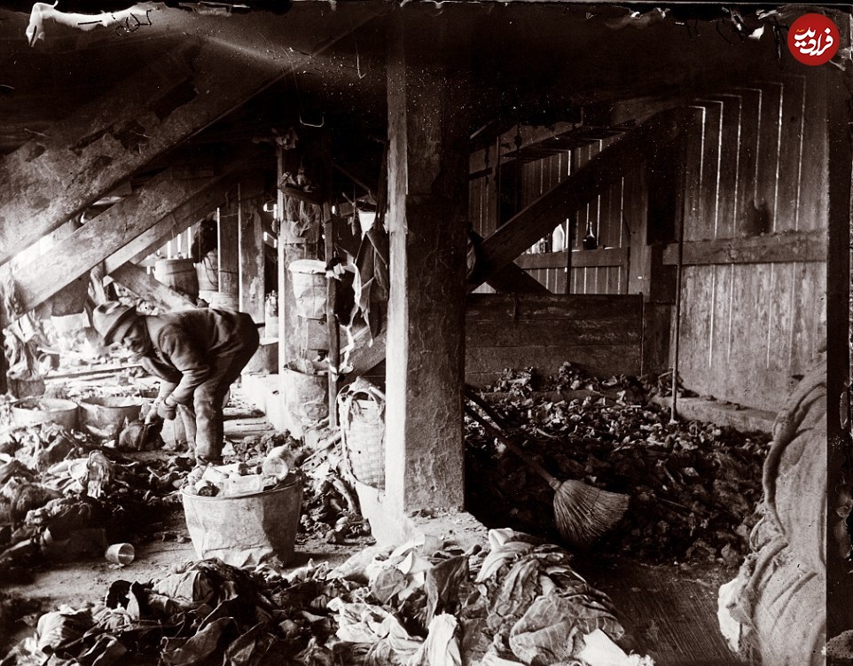 عکس| تصاویری شگفت انگیز از ۱۲۰ سال قبل نیویورک که تاکنون ندیدهاید