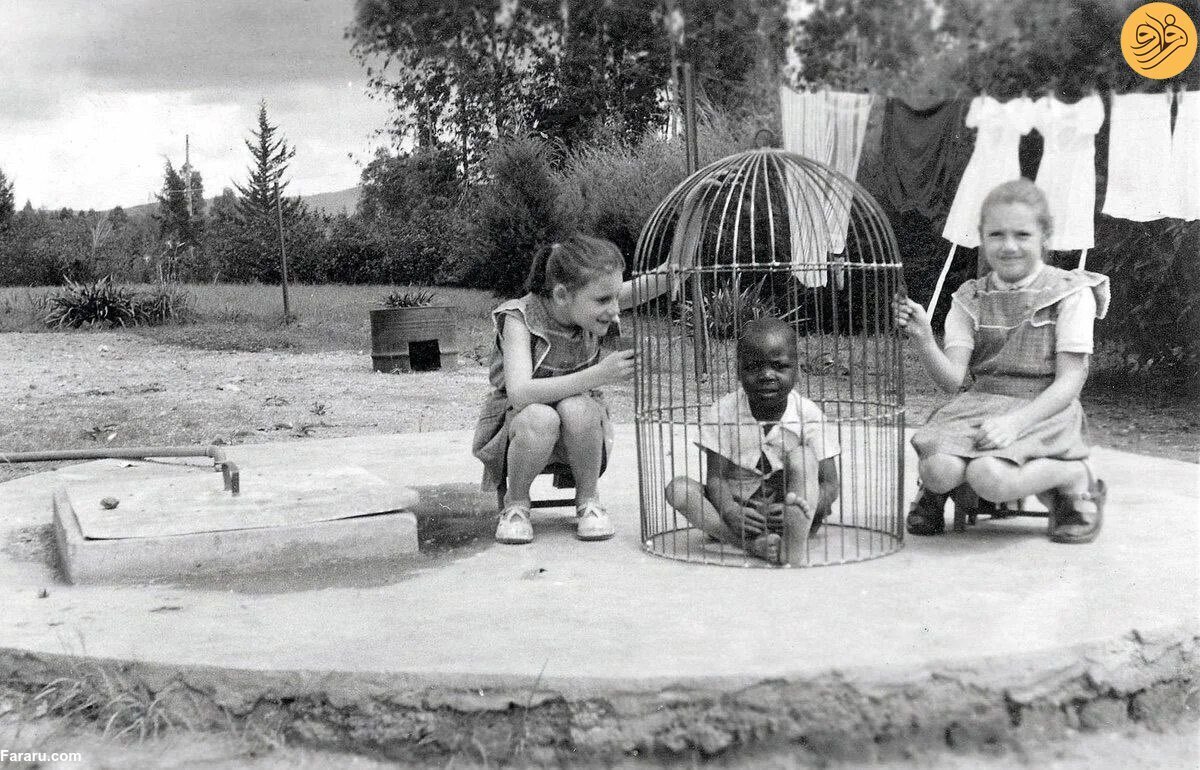 ببینید | بازید سفیدپوستان از سیاهپوستان در قفس؛ قاب شرمآور انسانیت!