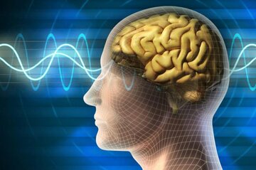 فعالیتهای رازآلود مغز بیماران پیش از مرگ فعالیتهای رازآلود مغز بیماران پیش از مرگ