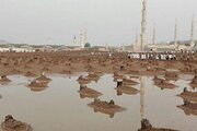 ببینید | اولین ورود شیعیان مدینه به قبرستان مبارک بقیع
