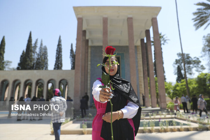 گل‌باران آرامگاه اُستادِ سُخن «سعدی»