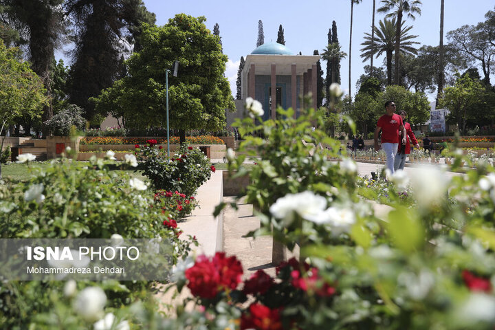 گل‌باران آرامگاه اُستادِ سُخن «سعدی»