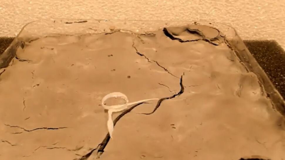 ربات عجیب ۱۰۰ برابر وزن خود را بلند میکند / عکس