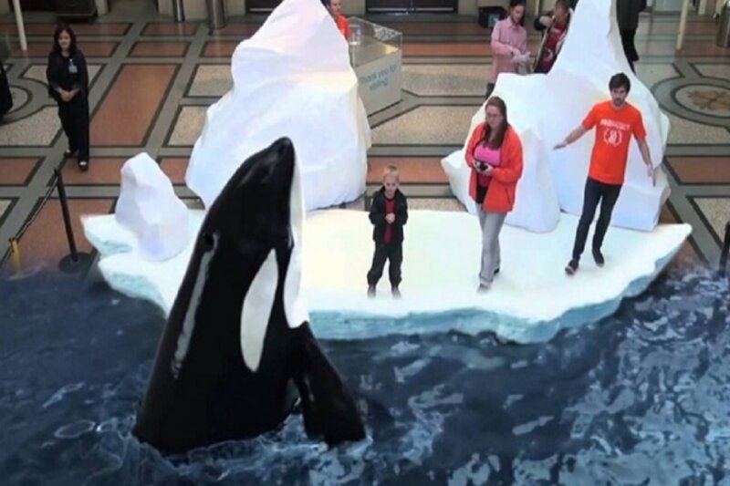 ببینید | گشتی در باغ‌وحش 7 بعدی در ژاپن