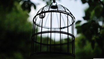 ببینید | بازید سفیدپوستان از سیاه‌پوستان در قفس؛ قاب شرم‌آور انسانیت!