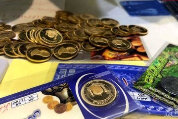 خریداران سکه بخوانند / ریسک خرید کدام قطعه سکه بالاتر است؟