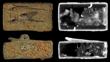 animal-coffin-ancient-egypt-1-.jpg