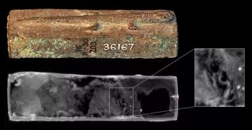 lizard-coffin-ancient-egypt.jpg