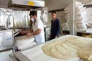 توضیحات معاون اقتصادی استانداری تهران درباره افزایش قیمت نان در پایتخت ؛‌ فعلا اتفاقی نیفتاده است