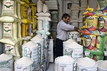 گرانفروشی برنج ایرانی برای توجیه واردات! / قیمت واقعی برنج ایرانی اعلام نمیشود گرانفروشی برنج ایرانی برای توجیه واردات! / قیمت واقعی برنج ایرانی اعلام نمیشود