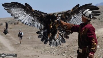 تصاویر منتخب امروز جهان