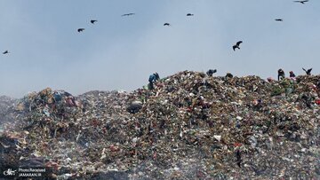 تصاویر منتخب امروز جهان