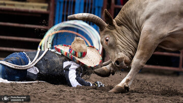 تصاویر منتخب امروز جهان