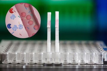 تشخیص زودهنگام سرطان با یک تکه کاغذ!
 تشخیص زودهنگام سرطان با یک تکه کاغذ!