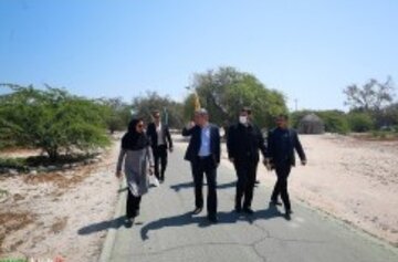 تاکید سازمان بر حفظ گونه های گیاهی بومی در جزیره کیش تاکید سازمان بر حفظ گونه های گیاهی بومی در جزیره کیش