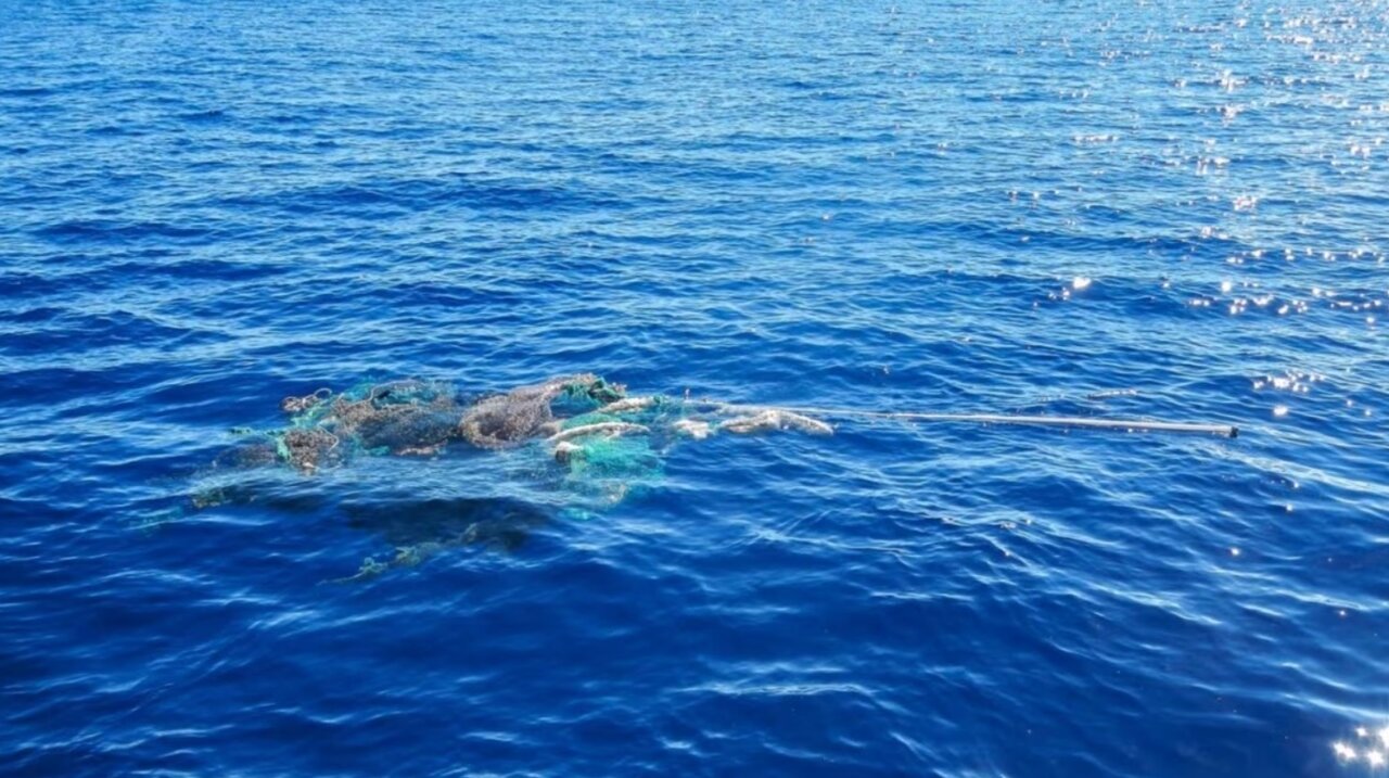 انتشار تصاویر هولناک از زندگی گونههای دریایی زیر زبالههای اقیانوسها