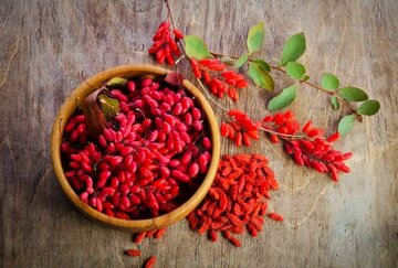 خواص شگفتانگیز زرشک را بشناسید خواص شگفتانگیز زرشک را بشناسید