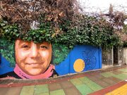 تصاویر | طرح‌های خلاقانه و زیبا روی دیوارهای تهران