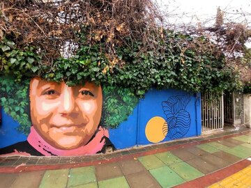 تصاویر | طرح‌های خلاقانه و زیبا روی دیوارهای تهران