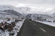 ببینید | غافلگیری عشایر اردبیل در برف بهاری