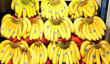 بهای واردات موز 400 درصد بیشتر شد!