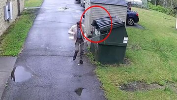 خرس در سطل زباله و فرار مدیر مدرسه/ عکس