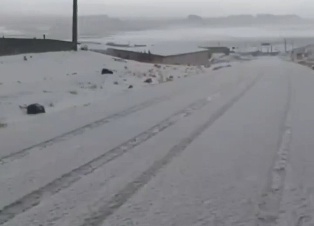 بارش برف بهاری در این شهر/ عکس