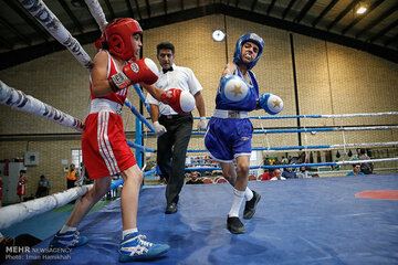 اعضای تیم جوانان بوکس لرستان انتخاب شدند  اعضای تیم جوانان بوکس لرستان انتخاب شدند