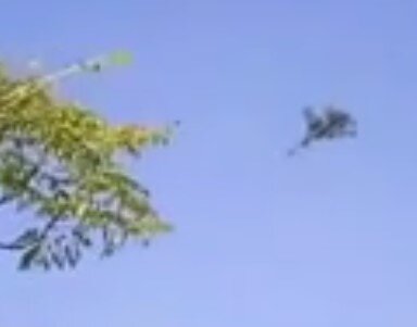 اولین تصاویر از «فرود» سه فروند جنگنده «سوخو ٣۵» در فرودگاه «مهرآباد» + عکس‌ها
