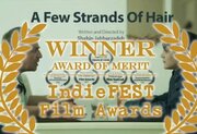 فیلم کوتاه ساخته شده کارگردان جوان ارومیه‌ای برنده جشنواره آمریکا شد