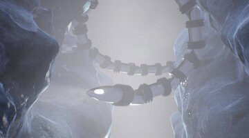 مار غولپیکر به فضا فرستاده میشود/ عکس مار غولپیکر به فضا فرستاده میشود/ عکس