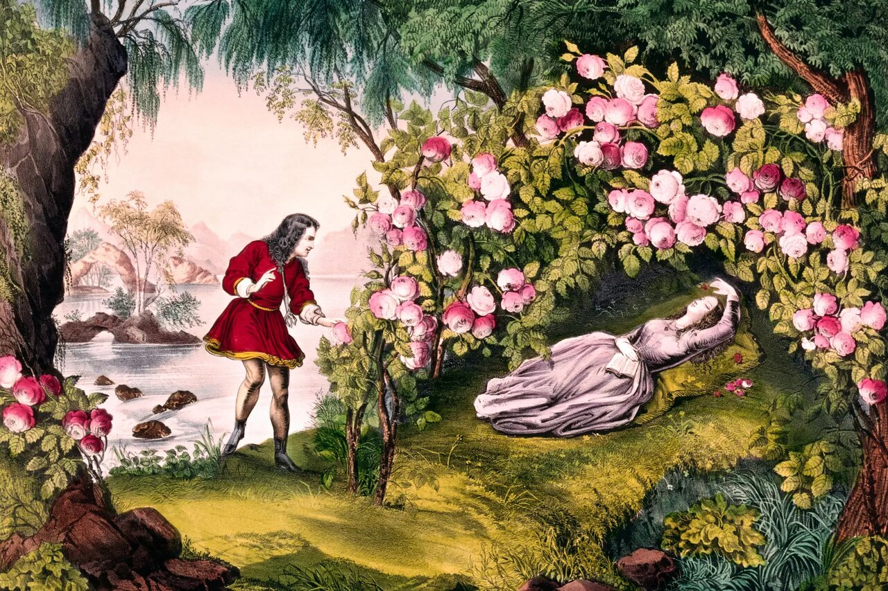 چرا مسئله «زیبای خفته» ریاضیدانها را بیدار نگهداشته است؟