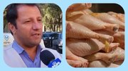 ۲۳ تن قطعات مرغ در جاده خرم آباد اندیمشک توقیف شد