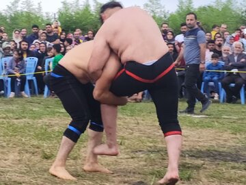 هدف از برگزاری جشنواره بهار نارنج کومله رونق اقتصادی منطقه است