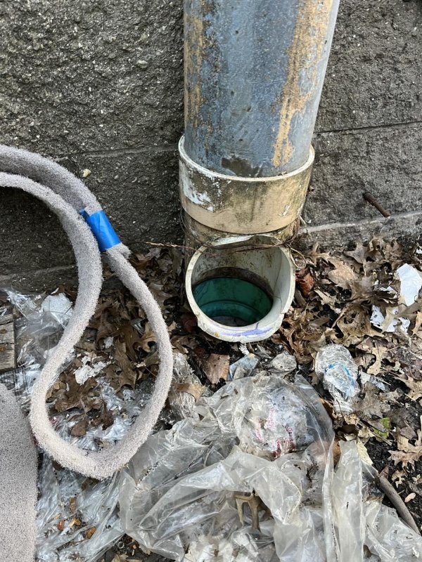 نجات یک گربه بازیگوش از لوله فاضلاب/ عکس