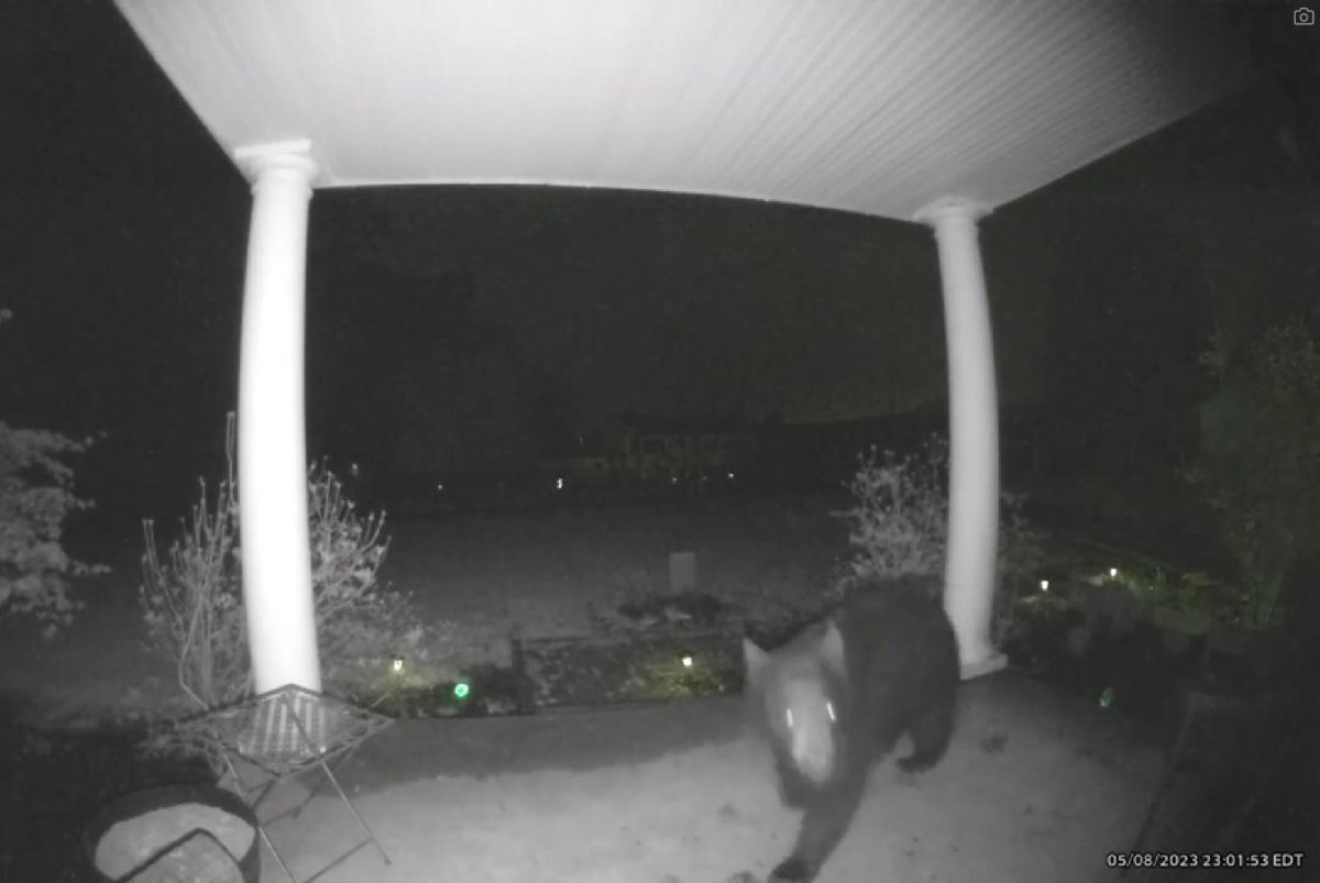 مزاحم بازیگوشی که شبانه زنگ خانهای را به صدا درآورد/ عکس