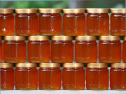 رشد ۵۰ درصدی قیمت عسل/ عسل ارگانیک کیلویی چند؟
