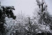 ببینید | خودنمایی زیبای برف در گیلان!
