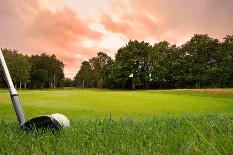 عجیبترین چیزی که در یک زمین گلف پیدا شده است!/ عکس