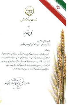 کسب رتبه سوم کشوری توسط روابط عمومی سازمان جهاد کشاورزی استان چهارمحال و بختیاری