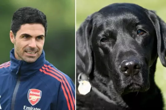 عکس | سگی که به آرسنالی ها انگیزه میدهد! 2