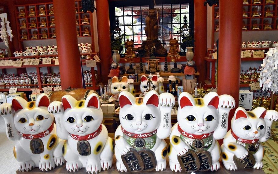 جزیره‌ای مخصوص گربه‌ها در ژاپن/ عکس
