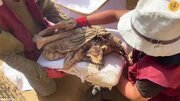 کشف مومیایی ۱۲۰۰ ساله یک نوجوان با پوست و موی سالم/ فیلم