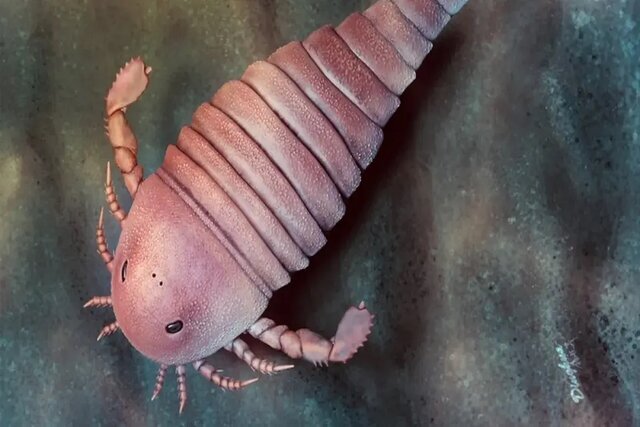 کشف فسیل عقرب 450 میلیون ساله / شکارچی خشن اقیانوس/ عکس