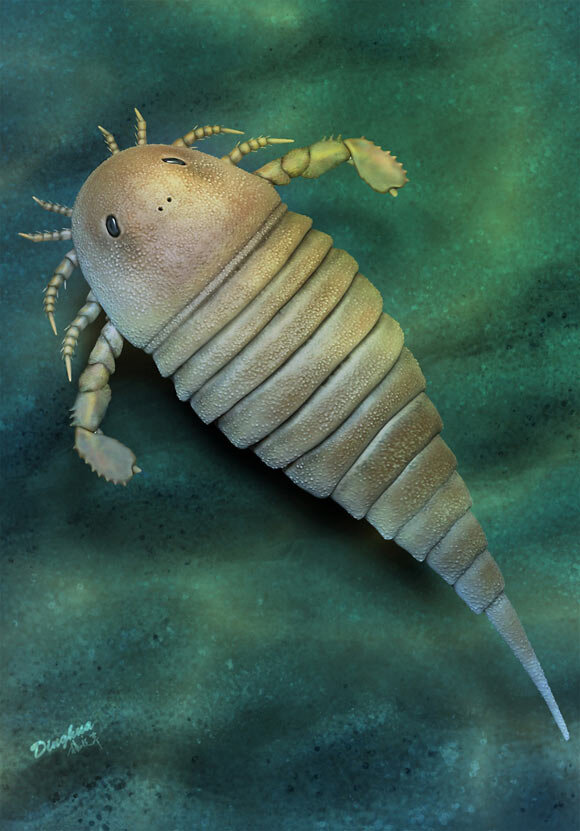 کشف فسیل عقرب ۴۵۰ میلیون ساله / شکارچی خشن اقیانوس/ عکس