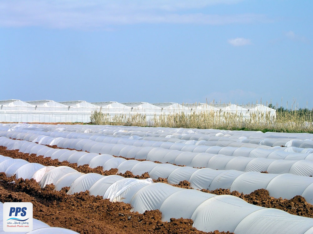 خرید بهترین نایلون عریض کشاورزی برای استفاده بهینه