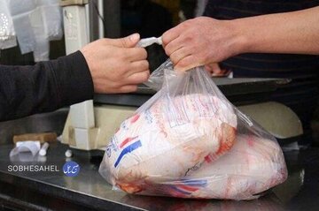 مرغ ۷۳ هزار تومانی را کی دیده، کی خریده!/ صف‌های طولانی برای خرید مرغ یخ زده