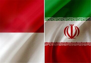 إيران و إندونيسيا یتعاونان في مجال المعدات الطبية المتقدمة