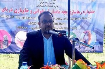 اختصاص ۹۰ میلیارد تومان اعتبار برای بازسازی ذخایر ماهیان